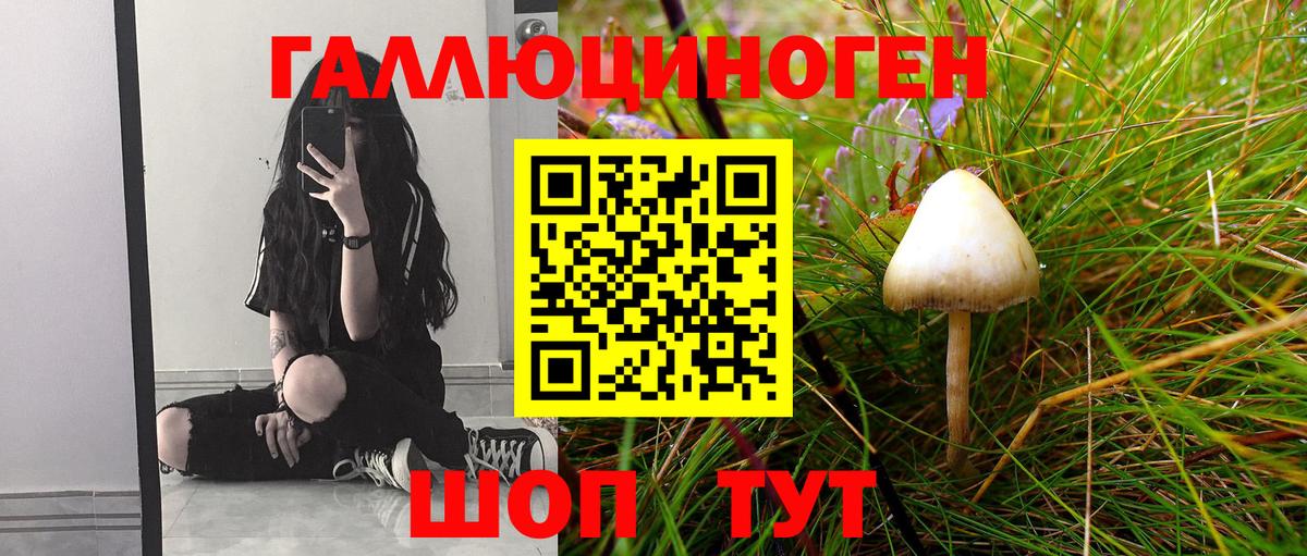 Воркута  Псилоцибиновые грибы Psilocybe  Галлюциногенные грибы мухоморы  Вход с VPN 