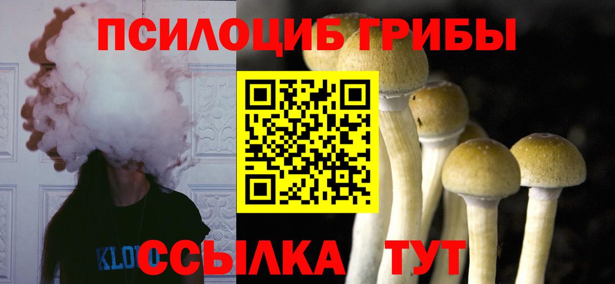 Галлюциногенные грибы мухоморы Воркута